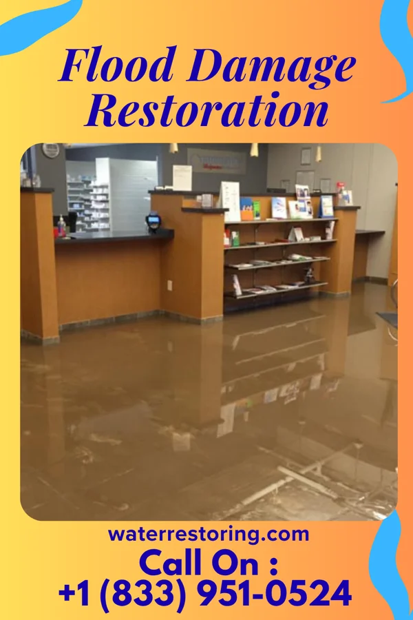 Flood Damage Restoration in Anderson, TX