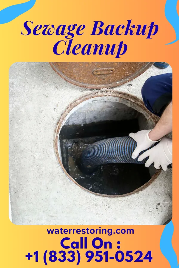 Sewage Backup Cleanup in Anderson, TX