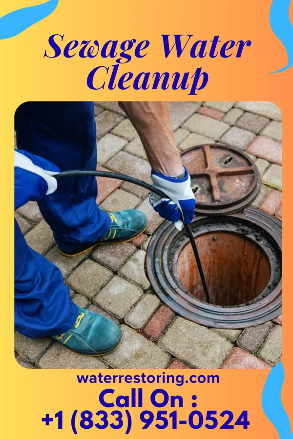 Sewage Water Cleanup in Anderson, TX